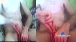 Wett_moon cam4 livecam show performer room profile
