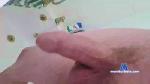 Maxdanny88 cam4 livecam show performer room profile