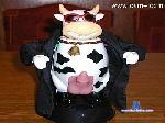 melkvieh cam4 livecam show performer room profile