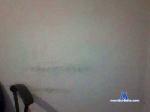 evertonbans1 cam4 livecam show performer room profile