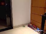augusto306 cam4 livecam show performer room profile