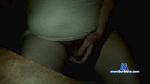las_lauper2020 cam4 livecam show performer room profile