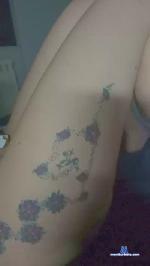 Hiddenstefi cam4 livecam show performer room profile