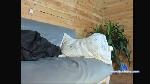 MagnusVilla cam4 livecam show performer room profile