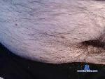peterwart cam4 livecam show performer room profile