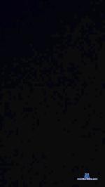 Danmon82 cam4 livecam show performer room profile