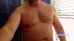 BeauBear cam4 livecam show performer room profile