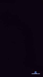 VegetaeBulma cam4 livecam show performer room profile