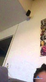 shastrahallon cam4 livecam show performer room profile