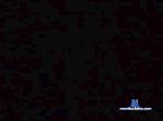 piero1luigi cam4 livecam show performer room profile