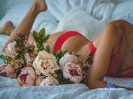 shybelle_sexy cam4 livecam show performer room profile
