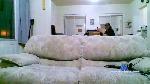 GentlemanBG cam4 livecam show performer room profile
