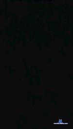 zfifou cam4 livecam show performer room profile