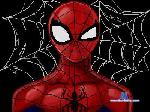aranhapirocudo cam4 livecam show performer room profile