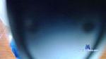 angeldamian69 cam4 livecam show performer room profile