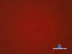 CaioDbb cam4 livecam show performer room profile