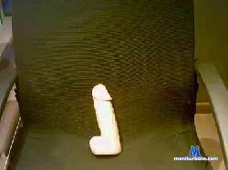 tijger43 cam4 live cam performer profile