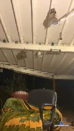 Dahliasage69 cam4 livecam show performer room profile