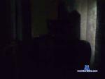 MRhardever cam4 livecam show performer room profile