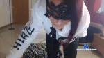 Brujousui cam4 livecam show performer room profile