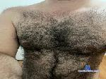 gauchopeludo88 cam4 livecam show performer room profile