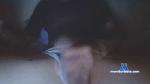 alex43191 cam4 livecam show performer room profile