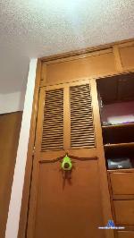 ju4n4ro1 cam4 livecam show performer room profile