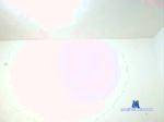 paul007xd2 cam4 livecam show performer room profile