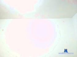paul007xd2 cam4 live cam performer profile