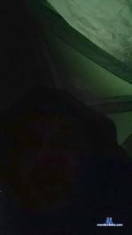 kingelvis2 cam4 livecam show performer room profile