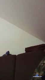 pete_do cam4 livecam show performer room profile