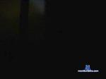 LorisBravo cam4 livecam show performer room profile