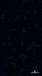 couple02000 cam4 livecam show performer room profile