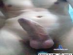westcrok_fun cam4 livecam show performer room profile