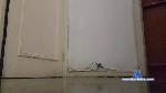 ImDoingItAlone cam4 livecam show performer room profile