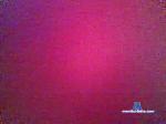 morbooso50 cam4 livecam show performer room profile