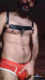 OrionLalli cam4 livecam show performer room profile
