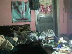 orellino cam4 livecam show performer room profile