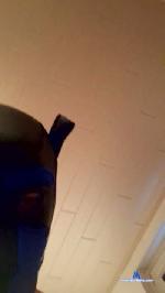 maxi096 cam4 livecam show performer room profile