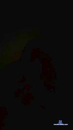 Casalnovinhosx cam4 livecam show performer room profile