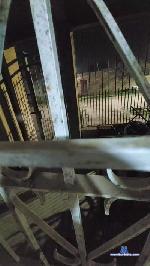 reydaxxx cam4 livecam show performer room profile