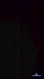 bigpeneblack1 cam4 livecam show performer room profile