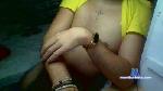 elxicobn cam4 livecam show performer room profile