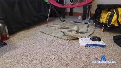 pnpshortyxxx cam4 live cam performer profile