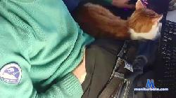 sirbaek2005 cam4 live cam performer profile