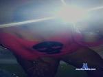 highnessTaZ420 cam4 livecam show performer room profile