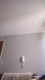 Reinato cam4 livecam show performer room profile