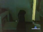 ciko18 cam4 livecam show performer room profile