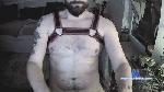 redbearded cam4 livecam show performer room profile
