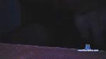 Sebasarg2020 cam4 livecam show performer room profile
